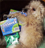 No more odd socks for Scruffy to chew on!